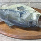 Mounted Largemouth Bass, Taxidermy Fish, Vintage Sport Game Fishing Trophy