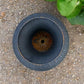 17" Tall Cast Iron Fluted Urn, Flower Pot Planter, Garden Patio Yard Art G1
