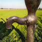Well Water Pump, Windmill Pitcher Pump, Patel Foundry, Cast Iron Garden Art C1