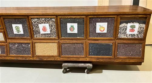 15'9" Bean Seed Counter, Vintage Oak Mercantile Store Display Cabinet Drawers