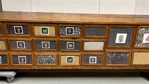 15'9" Bean Seed Counter, Vintage Oak Mercantile Store Display Cabinet Drawers