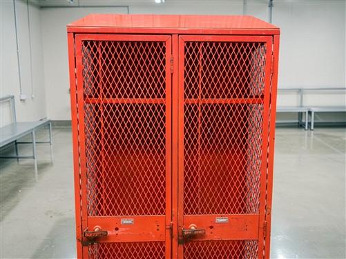 DeBourgh Industrial Mesh Locker Vintage Steel Storage Cabinet Double Locker B