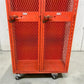 DeBourgh Industrial Mesh Locker Vintage Steel Storage Cabinet Double Locker B