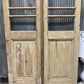 Antique French Double Doors (44x103) 5 Pane Glass, European Reclaimed G193