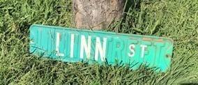 Linn St Street Sign, 6x24 Vintage Green Road Sign, Metal Road Sign, B