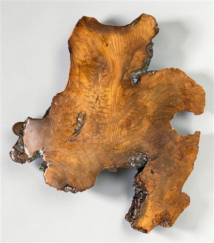 Vintage Live Edge Burl Wood Coffee Table Rustic Natural Slab Side Table
