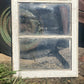 Wood Transom Window, 3 Pane Glass, Vintage Architectural Salvage Frame, A90