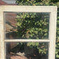 Wood Transom Window, 3 Pane Glass, Vintage Architectural Salvage Frame, A91