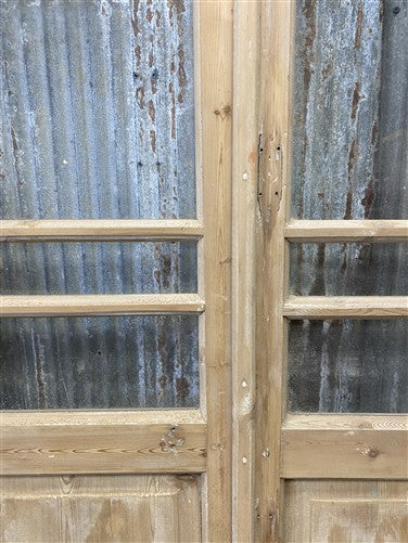 Antique French Double Doors (44x79) 5 Pane Glass, European Reclaimed G218