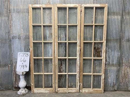Antique French Double Doors (66x79) 10 Pane Glass, European Reclaimed G223