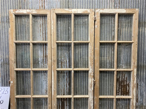 Antique French Double Doors (66x79) 10 Pane Glass, European Reclaimed G223