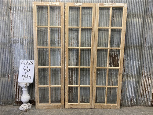 Antique French Double Doors (66x79) 10 Pane Glass, European Reclaimed G223