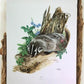 Art & Collectibles > Prints > Lithographs - Richard Timm, Badger, Signed Print, 28x22 Wade Collection, Plate 10 by The Old...