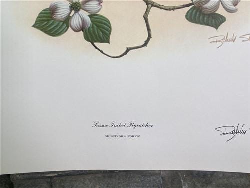 Art & Collectibles > Prints > Lithographs - Richard Sloan, Flycatcher, Signed Print, 28x22, Wade Collection, Plate 28 by T...