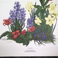 Art & Collectibles > Prints > Lithographs - Maryrose Wampler, Spring Bulbs, Signed Print, 28x22 Wall Art, Plate 26 by The...