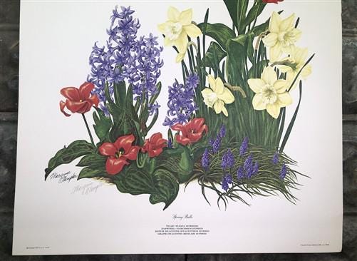 Art & Collectibles > Prints > Lithographs - Maryrose Wampler, Spring Bulbs, Signed Print, 28x22 Wall Art, Plate 26 by The...