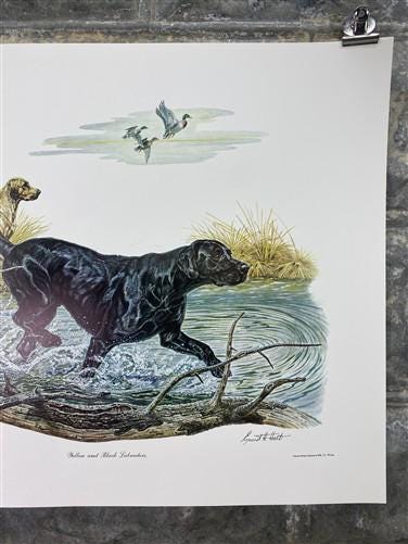 Art & Collectibles > Prints > Lithographs - Ernest Hart, Yellow Black Labradors, Signed Dog Print, 16x20, Wade Collection,...