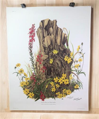 Art & Collectibles > Prints > Lithographs - Maryrose Wampler, Cardinal Flower Sunflower Signed Print 28x22 Wall Art Plate...