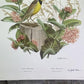 Art & Collectibles > Prints > Lithographs - Richard Sloan, Meadowlark, Signed Print, 28x22, Wade Collection, Plate 24 by T...