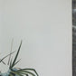 Art & Collectibles > Prints > Lithographs - Richard Timm, Porcupine, Signed Print, 28x22 Wade Collection, Plate 35 by The...
