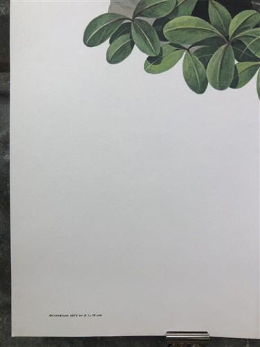 Art & Collectibles > Prints > Lithographs - Richard Timm, Ground Squirrel, Signed Print, 28x22 Wade Collection, Plate 31 b...