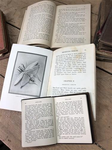 Books, Movies & Music > Books > Book Sets & Collections - 1866-1938 Book Lot, History German Latin Literature Music Religi...