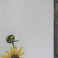 Art & Collectibles > Prints > Lithographs - Maryrose Wampler, Dune Flowers, Signed Print, 28x22 Wall Art, Plate 20 by The...