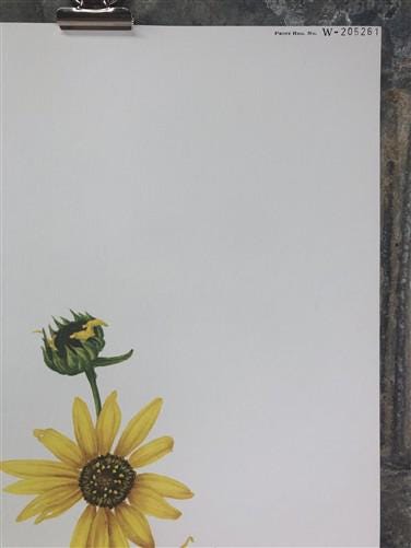 Art & Collectibles > Prints > Lithographs - Maryrose Wampler, Dune Flowers, Signed Print, 28x22 Wall Art, Plate 20 by The...