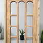 Antique French Single Door (31x78.5) Glass Pane Door with Jamb, Encased Door T41