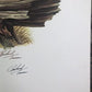 Art & Collectibles > Prints > Lithographs - Richard Timm, Timber Wolf, Signed Print, 28x22 Wade Collection, Plate 34 by Th...
