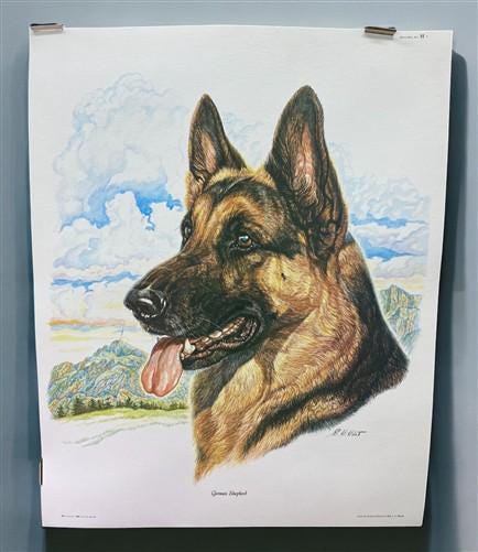 Art & Collectibles > Prints > Lithographs - Ernest Hart, German Shepherd, Signed Dog Print, 16x20, Wade Collection, A by T...