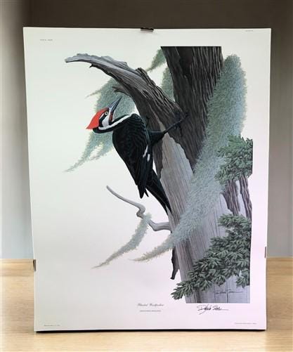 Art & Collectibles > Prints > Lithographs - Richard Sloan, Woodpecker, Signed Print, 28x22, Wade Collection, Plate 48 by T...