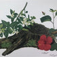 Art & Collectibles > Prints > Lithographs - Maryrose Wampler, Hibiscus Orange Blossom, Signed Print, 28x22 Wall Art, Plate...