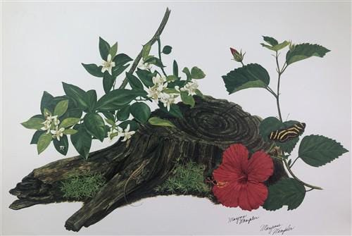 Art & Collectibles > Prints > Lithographs - Maryrose Wampler, Hibiscus Orange Blossom, Signed Print, 28x22 Wall Art, Plate...