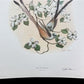 Art & Collectibles > Prints > Lithographs - Richard Sloan, Flycatcher, Signed Print, 28x22, Wade Collection, Plate 28 by T...