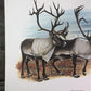 Art & Collectibles > Prints > Lithographs - Richard Timm, Ground Caribou, Signed Print, 28x22 Wade Collection, Plate 36 by...