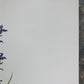 Art & Collectibles > Prints > Lithographs - Maryrose Wampler, Passion Vine, Signed Print, 28x22 Wall Art, Plate 18 by The...