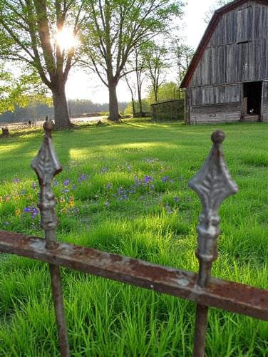 Home & Living > Outdoor & Gardening > Garden Decoration > Yard Art - Wrought Iron Vintage Fence Panel (95x37) Architectura...