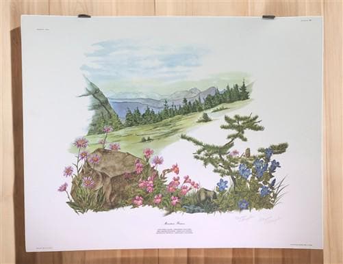 Art & Collectibles > Prints > Lithographs - Maryrose Wampler, Mountain Flowers, Signed Print, 28x22 Wall Art, Plate 30 by...