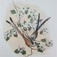Art & Collectibles > Prints > Lithographs - Richard Sloan, Flycatcher, Signed Print, 28x22, Wade Collection, Plate 28 by T...