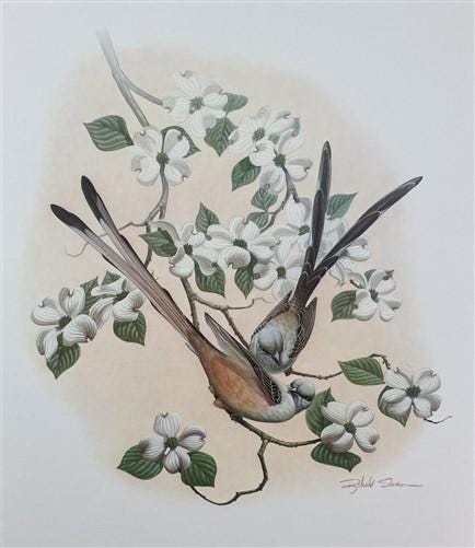 Art & Collectibles > Prints > Lithographs - Richard Sloan, Flycatcher, Signed Print, 28x22, Wade Collection, Plate 28 by T...