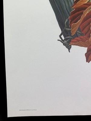 Art & Collectibles > Prints > Lithographs - Richard Sloan, Bobwhite, Signed Print, 28x22, Wade Collection, Plate 21 by The...