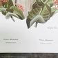Art & Collectibles > Prints > Lithographs - Richard Sloan, Meadowlark, Signed Print, 28x22, Wade Collection, Plate 24 by T...