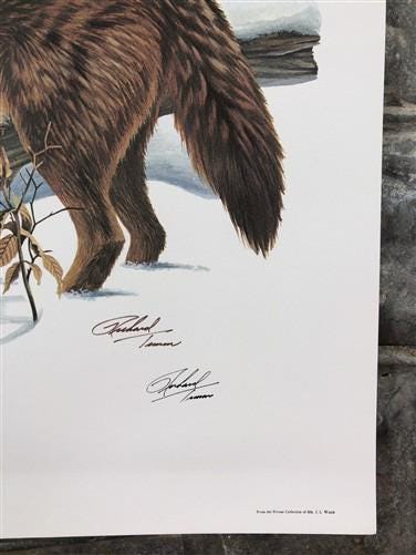 Art & Collectibles > Prints > Lithographs - Richard Timm, Coyote, Signed Print, 28x22 Wade Collection, Plate 21 by The Old...