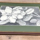 Home & Living > Home Decor > Wall Decor > Wall Hangings - Mark Catesby, Magnolia Altissima, Plate 61, Ehret, Framed Botani...