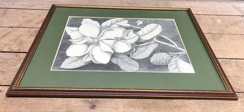 Home & Living > Home Decor > Wall Decor > Wall Hangings - Mark Catesby, Magnolia Altissima, Plate 61, Ehret, Framed Botani...