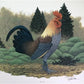 Art & Collectibles > Prints > Lithographs - Richard Sloan, Blue Hen, Signed Print, 28x22, Wade Collection, Plate 43 by The...