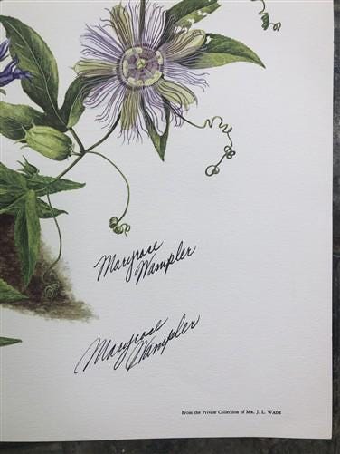 Art & Collectibles > Prints > Lithographs - Maryrose Wampler, Passion Vine, Signed Print, 28x22 Wall Art, Plate 18 by The...