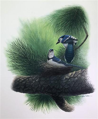 Art & Collectibles > Prints > Lithographs - Richard Sloan, Blue Jay, Signed Print, 28x22, Wade Collection, Plate 44 by The...
