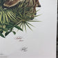 Art & Collectibles > Prints > Lithographs - Richard Timm, Florida Key Deer, Signed Print, 28x22 Wade Collection, Plate 15...